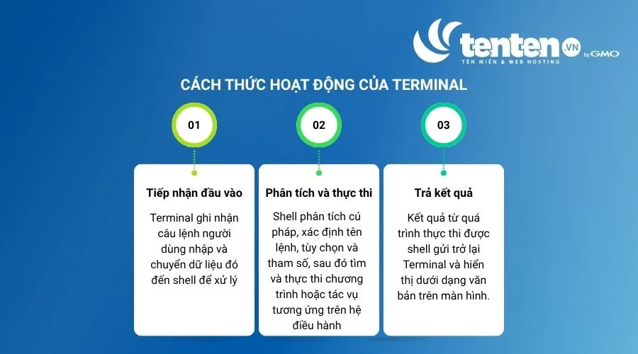 Cách thức hoạt động của Terminal