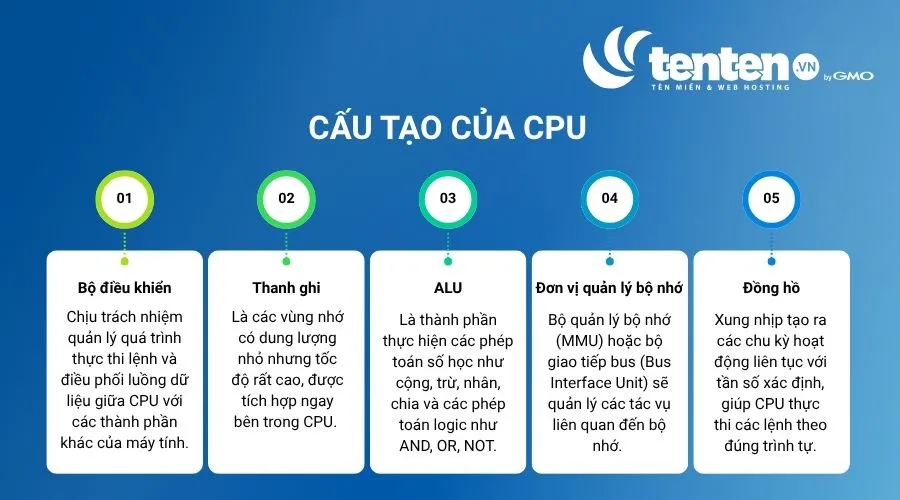 Cấu tạo của CPU gồm bộ điều khiển, thanh ghi, ALU, Đơn vị quản lý bộ nhớ và đồng hồ