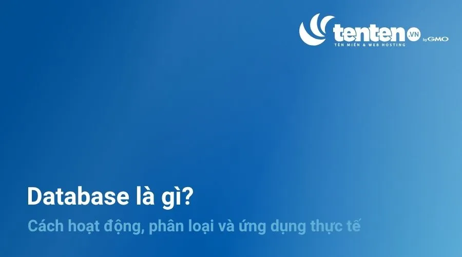 Database là gì? Cách hoạt động, phân loại và ứng dụng thực tế