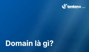 Domain là gì? Cấu trúc và cách chọn domain đúng