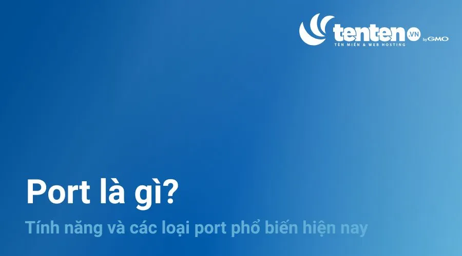 Port là gì? Tính năng và các loại port phổ biến hiện nay