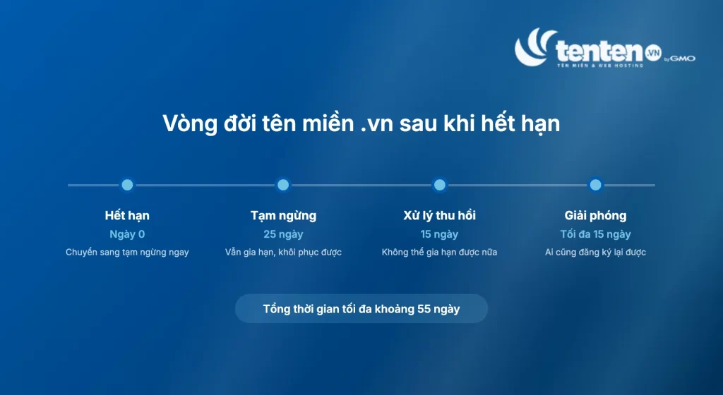 Timeline vòng đời domain .vn sau khi hết hạn: tạm ngừng 25 ngày, xử lý thu hồi 15 ngày, giải phóng tối đa 15 ngày, tổng khoảng 55 ngày